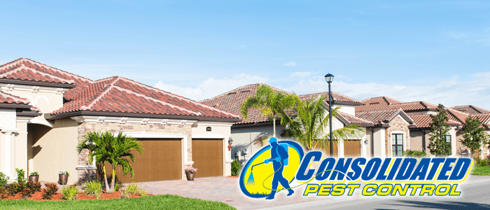 Consolidated Pest Control houses