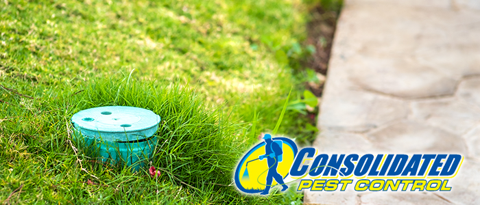 aberbetrbgretnhetr Licensed Consolidated Pest Control specialist delivering safe, effective pest management and lawn treatment services for Florida homeowners