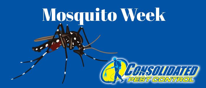 cpcmosquito