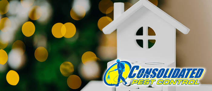 Licensed Consolidated Pest Control specialist delivering safe, effective pest management and lawn treatment services for Florida homeowners