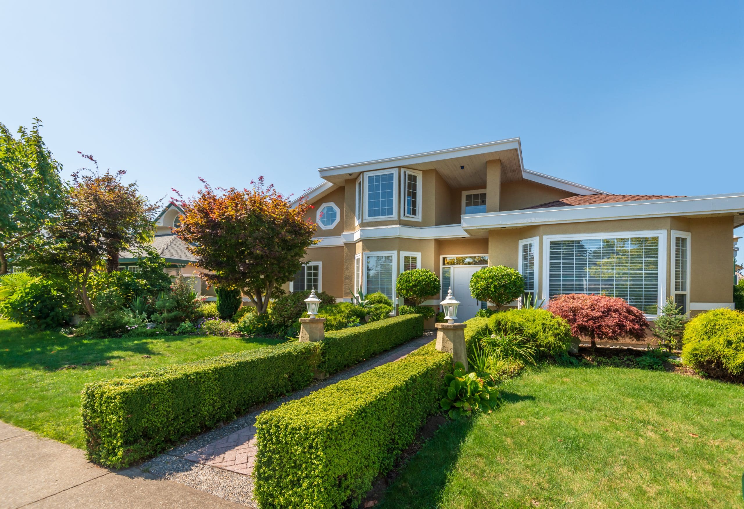 Tree-lined suburban homes in Westchase where spider extermination services are essential